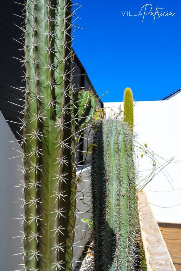 Villa Patricia Corralejo Exterior foto